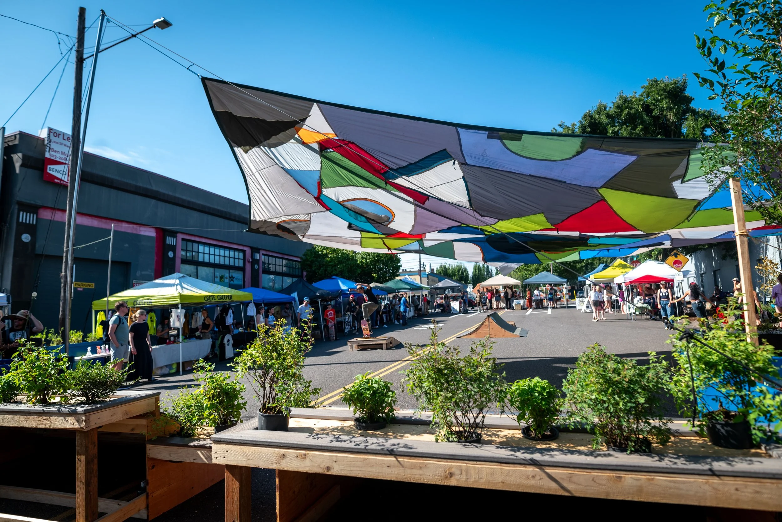 Photo of the Depave Block Party